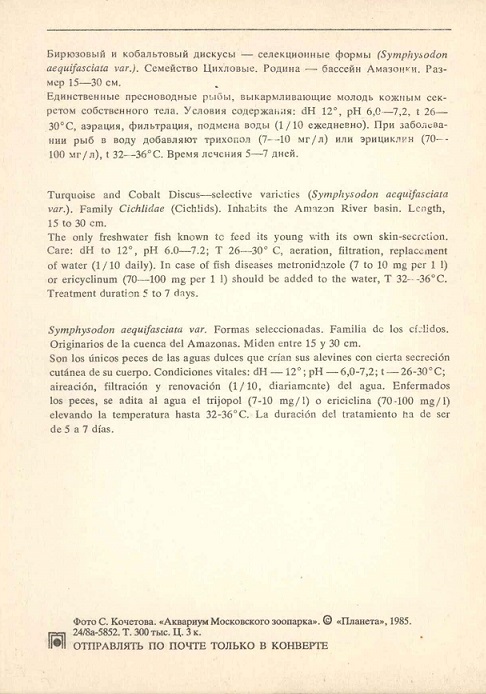 07 Аквариум Московского зоопарка 1985. Бирюзовый и кобальтовый дискусы р.jpg