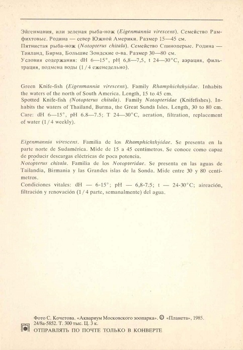 09 Аквариум Московского зоопарка 1985. Эйгенмания... р.jpg