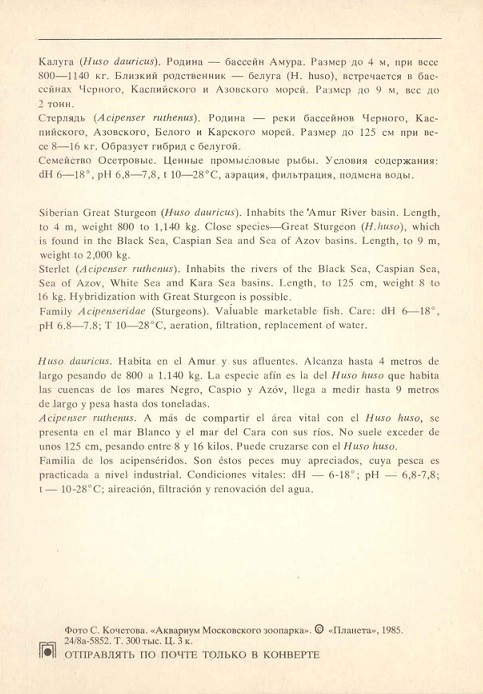 22 Аквариум Московского зоопарка 1985. Калуга... р.jpg