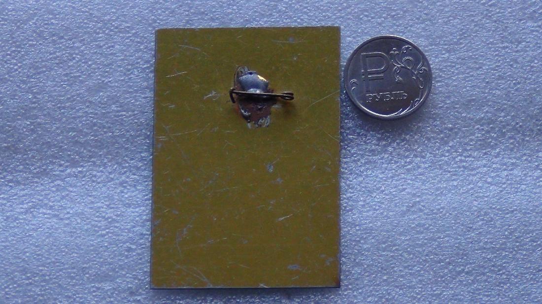 DSC09888_thumb.jpg
