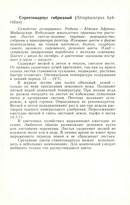 07 Комнатные красивоцветущие растения 1988. Стрептокарпус гибридный р.jpg