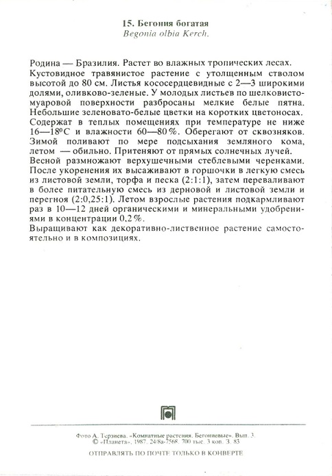 15 Комнатные растения 1987. Бегония богатая р.jpg