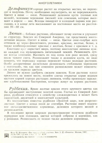 12 Декоративные растения 1987. Многолетники р.jpg