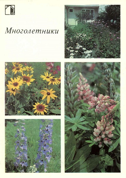 12 Декоративные растения 1987. Многолетники а.jpg