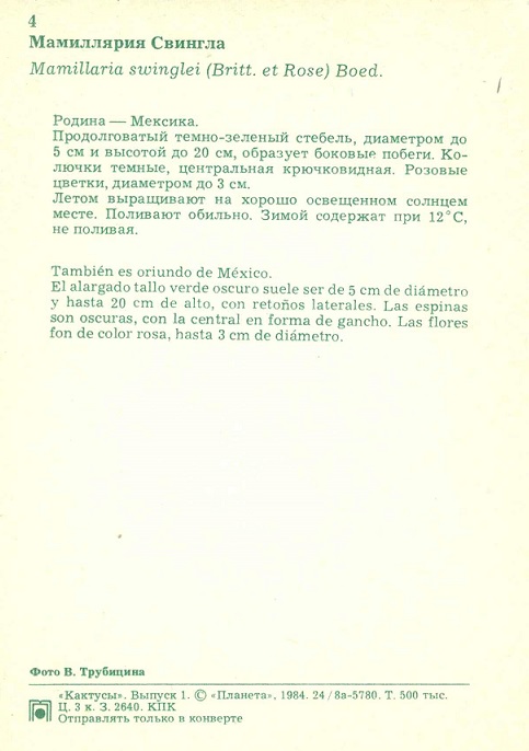 04 Кактусы Вып. 1. Мамиллярия Свингла р.jpg