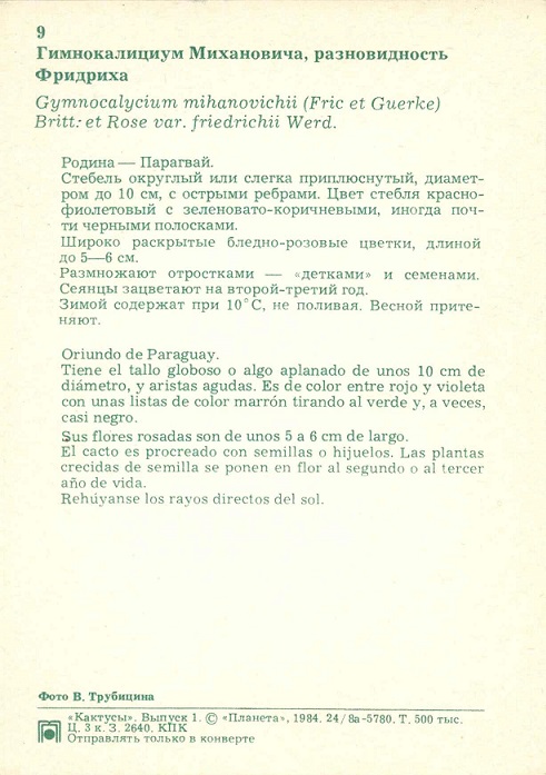 09 Кактусы Вып. 1. Гимнокалициум Михановича, разновидность Фридриха р.jpg