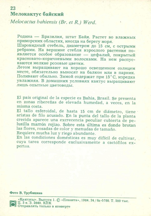 23 Кактусы Вып. 1. Мелокактус байский р.jpg