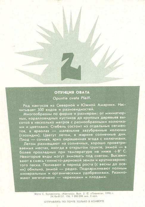 02 Кактусы Вып. 2. 1990. Опунция овата р.jpg