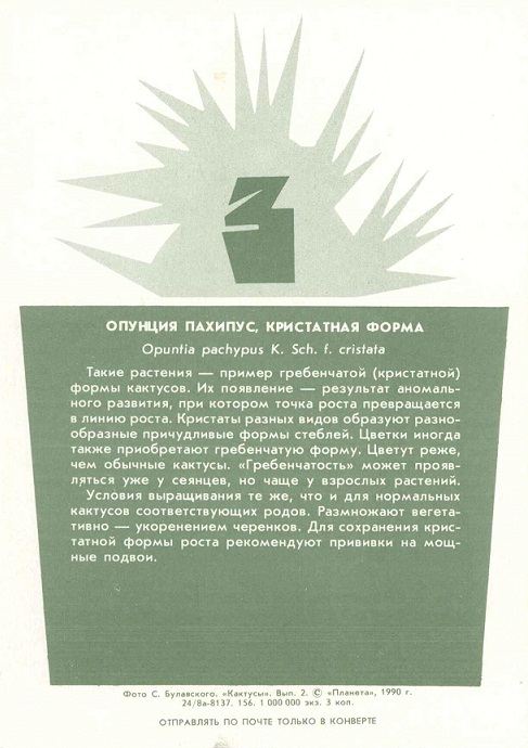 03 Кактусы Вып. 2. 1990. Опунция пахипус, кристатная форма р.jpg