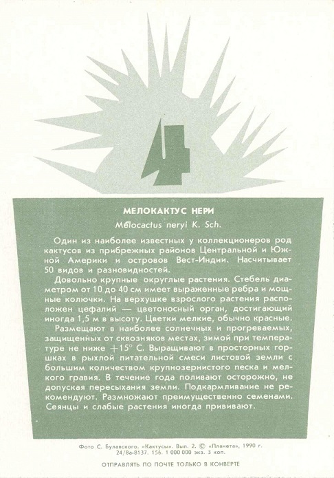 04 Кактусы Вып. 2. 1990. Мелокактус нери р.jpg