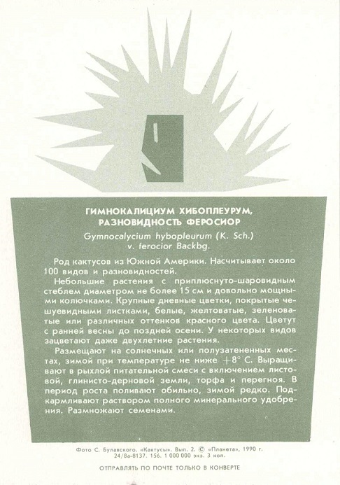 09 Кактусы Вып. 2. 1990. Гимнокалициум хибоплеурум, разновидность феросиор р.jpg