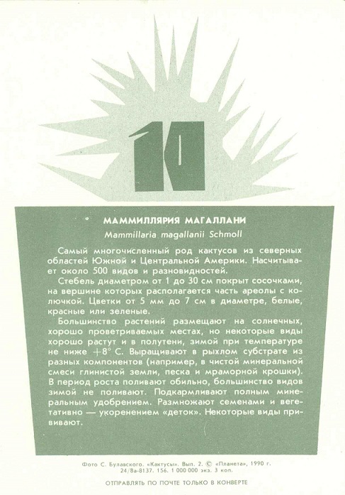 10 Кактусы Вып. 2. 1990. Маммиллярия магаллани р.jpg