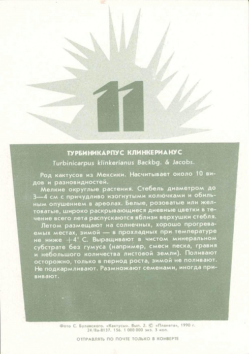 11 Кактусы Вып. 2. 1990. Турбиникарпус клинкерианус р.jpg