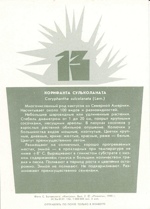 13 Кактусы Вып. 2. 1990. Корифанта сульколаната р.jpg