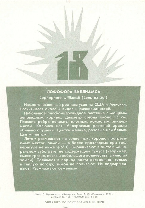 18 Кактусы Вып. 2. 1990. Лофофора виллиамса р.jpg