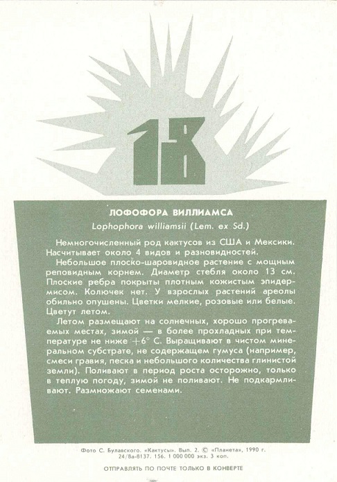 18 Кактусы Вып. 2. 1990. Лофофора виллиамса р.jpg