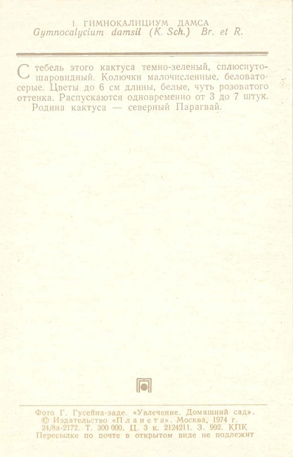 01 Домашний сад 1974. Гимнокалициум Дамса р.jpg