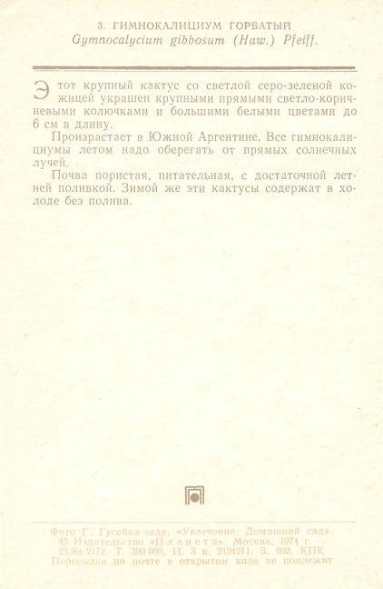 03 Домашний сад 1974. Гимнокалициум горбатый р.jpg