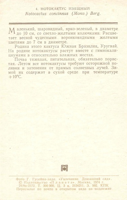 04 Домашний сад 1974. Нотокактус изящный р.jpg