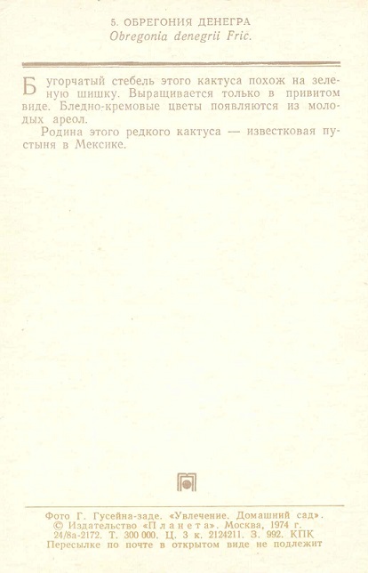 05 Домашний сад 1974. Обрегония Денегра р.jpg