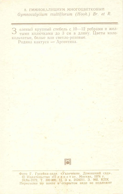 08 Домашний сад 1974. Гимнокалициум многоцветковый р.jpg