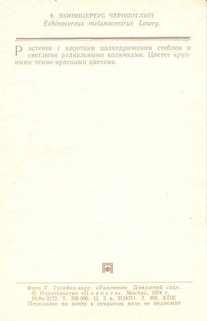 09 Домашний сад 1974. Эхиноцереус черноиглый р.jpg