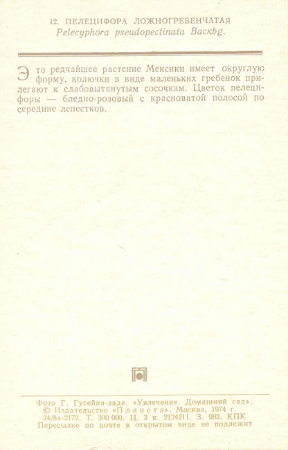 12 Домашний сад 1974. Пелецифора ложногребенчатая р.jpg