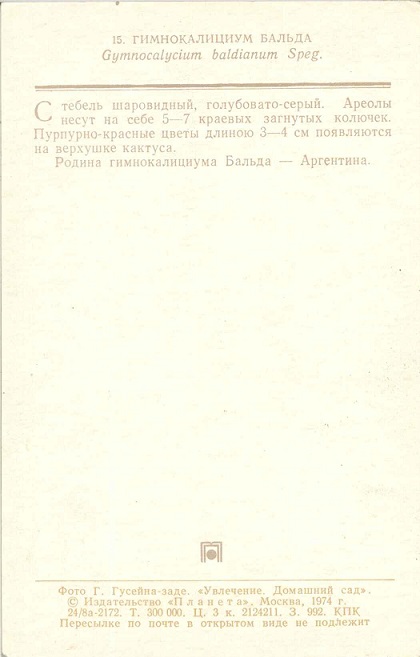 15 Домашний сад 1974. Гимнокалициум Бальда р.jpg