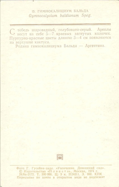 15 Домашний сад 1974. Гимнокалициум Бальда р.jpg