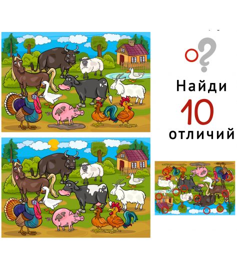 learning-img-find-differences-32[1].jpg