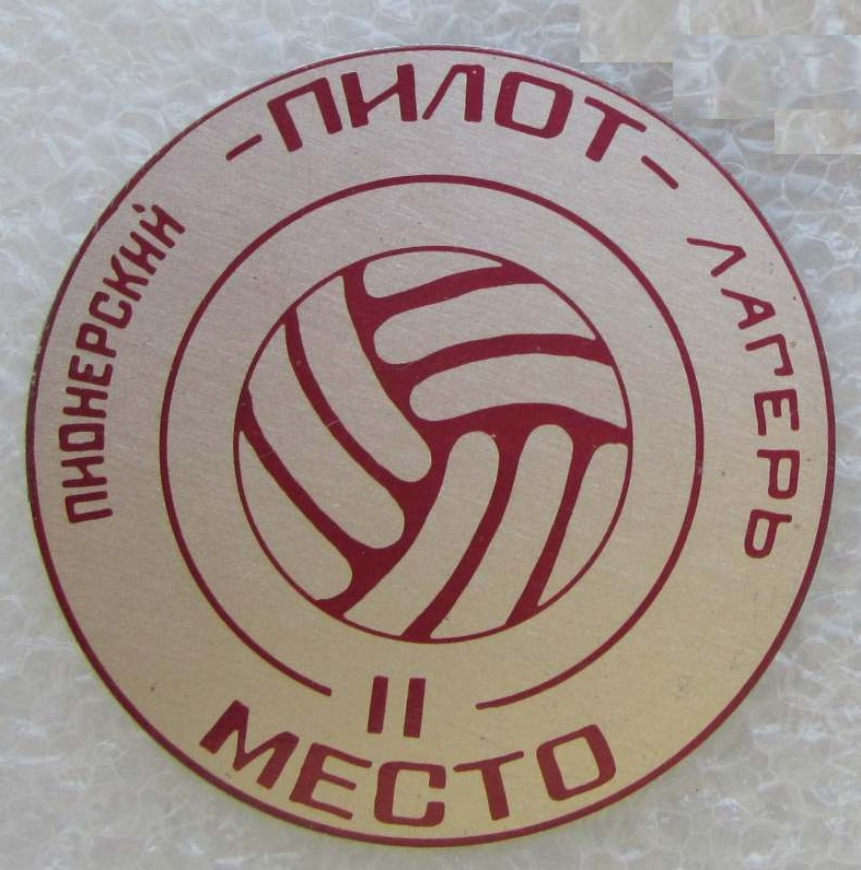 8575525.jpg