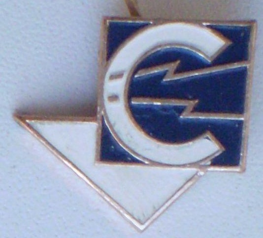 logotip_bukva_e_dve_molnii_i_treugolnik_igolka.jpg