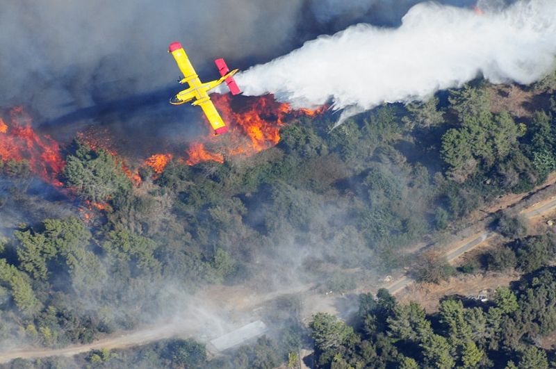 800px-Mount_Carmel_forest_fire29.jpg