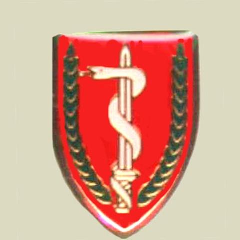 Israel_Military_Products_Medical_Unit_Insignia_large.jpeg