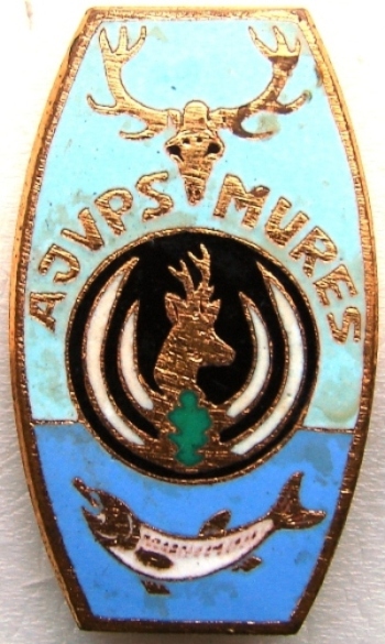 AGVPS Mures.jpg