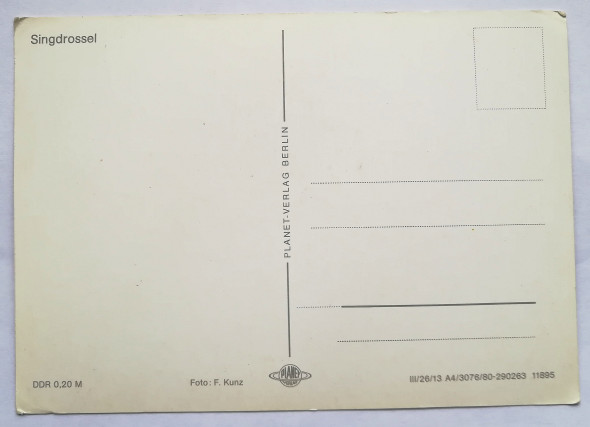 fea79527-590.jpg