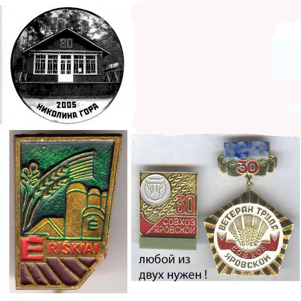 ineed-21.jpg