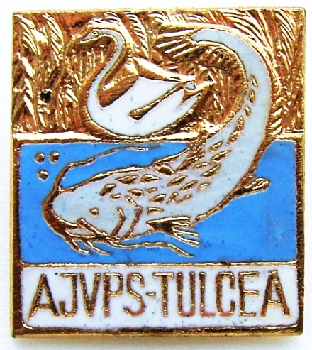 AJVPS-Tulcea-r.jpg