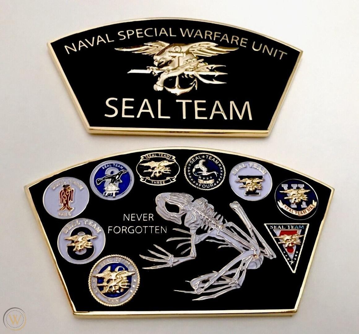 usn-navy-seals-seal-team-bone-frog_1_3c3be6659c3a8bc3d4d69ccdc1d43639.jpg