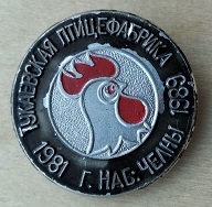 тукаевская.jpg