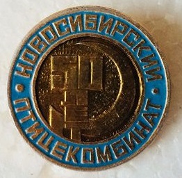 новосибирский.jpg