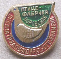боровская.jpg