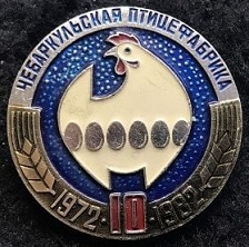 чебаркульская.jpg