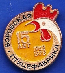 боровская3.jpg