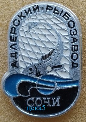 IMG_20210622_220631.jpg