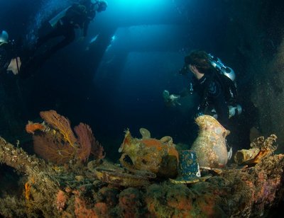 Crockery-and-coral-inside-ship-Coolidge-credit-Heather-Sutton_B180990 (1).jpg