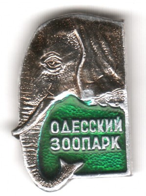 Одесский зоопарк слон.jpg