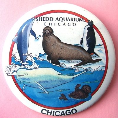 Shedd aquarium.jpg