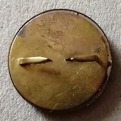 IMG_20210821_164953 1.jpg (125.5 КБ) 1383 просмотра IMG_20210821_164953 1.jpg