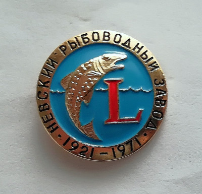 b609d5f.jpg